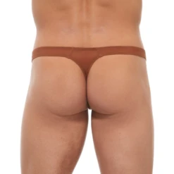 Gregg Homme Torridz Thong - Bronze -Men Swimwear Store 11927 71836.1652561642