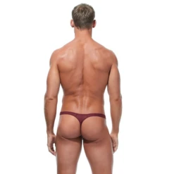 Gregg Homme Torridz Thong - Burgundy -Men Swimwear Store 11934 68663.1652561643
