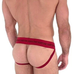 Nasty Pig Core Jockstrap - Red -Men Swimwear Store 51702 back 80272.1573685563