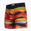Stance – Feel 360 Boxer Briefs W/ Wholester - Faux Real Multi
