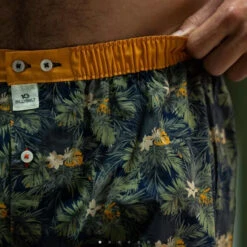 Billybelt - Organic Cotton Boxer Brief - Canopy -Men Swimwear Store 70379 D 34714.1686764701
