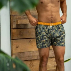 Billybelt - Organic Cotton Boxer Brief - Canopy -Men Swimwear Store 70379 LS 61872.1686764707