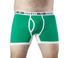 BEAR SKN Trunk - Gooseberry Lights -Men Swimwear Store Bear Skn 63469 Green Trunk underU4men2 84471.1646175608